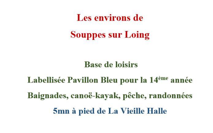 A La Vielle Halle Souppes-sur-Loing Екстер'єр фото